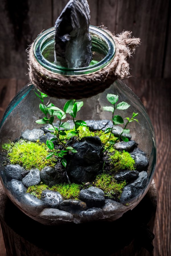 How Can Urban Greenways Influence Physical Activity Levels and Social Cohesion?