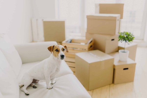 What Are the Most Comfortable Slip-On Loafers for the Workplace, with Arch Support?